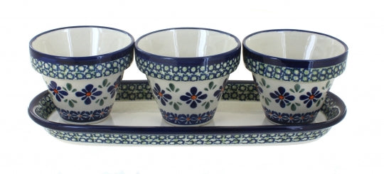 Flower Pots w/ Tray