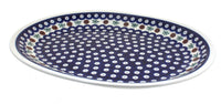 Polish Pottery Nature Large Serving  Platter
