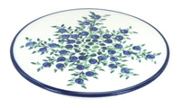 Polish Pottery Porcelain Vine Trivet