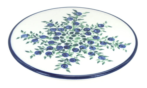Polish Pottery Porcelain Vine Trivet