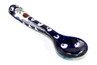 Nature Sugar Spoon Polish Pottery