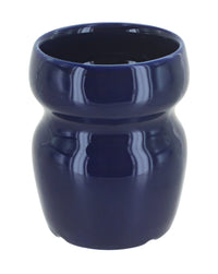 Polish Pottery Cobalt Bathroom Cup