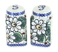 Polish Pottery Ladybug Salt & Pepper Shakers