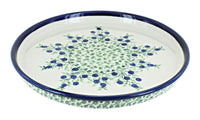 Polish Pottery Porcelain Vine Torte Plate