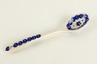 Spring Blossom Sugar Spoon Polish Pottery