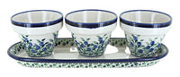 Polish Pottery Porcelain Vine Flower Pots with Tray