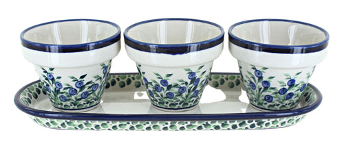 Polish Pottery Porcelain Vine Flower Pots with Tray
