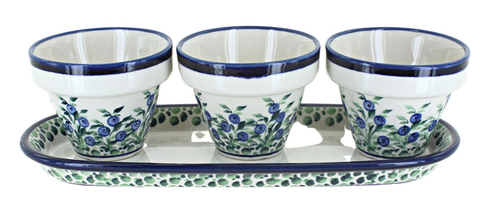 Polish Pottery Porcelain Vine Flower Pots with Tray