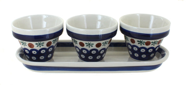 Nature Flower Pots with Tray