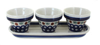 Polish Pottery Nature Flower Pots with Tray