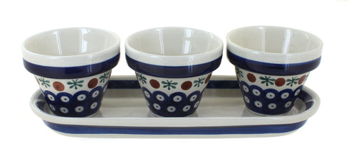 Polish Pottery Nature Flower Pots with Tray
