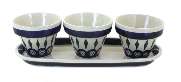Peacock Flower Pots with Tray