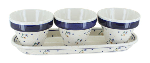 Polish Pottery Country Meadow Flower Pots with Tray