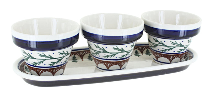 Polish Pottery Evergreen Flower Pots with Tray