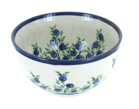 Polish Pottery Porcelain Vine Dessert Bowl