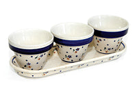 Country Meadow Flower Pots with Tray Polish Pottery