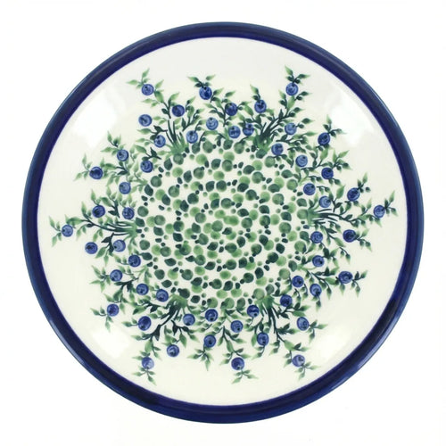 Polish Pottery Overhead Shot Porcelain Vine Small Dinner Plate