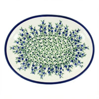 Polish Pottery Overhead Shot Porcelain Vine Large Serving Platter
