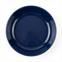 Polish Pottery Overhead Shot Cobalt Pie Plate