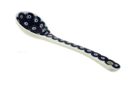 Polish Pottery Dots Sugar Spoon