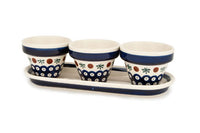 Nature Flower Pots with Tray Polish Pottery