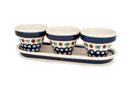 Nature Flower Pots with Tray Polish Pottery