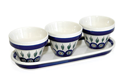 Peacock Flower Pots with Tray Polish Pottery