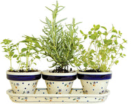 Country Meadow Flower Pots with Tray Polish Pottery