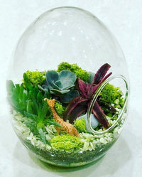 Egg Shape Glass Candle Holder/Terrarium Polish Pottery
