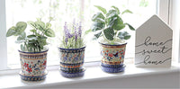 Red Daisy Flower Pot Polish Pottery