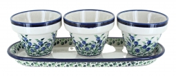 Porcelain Vine Flower Pots with Tray